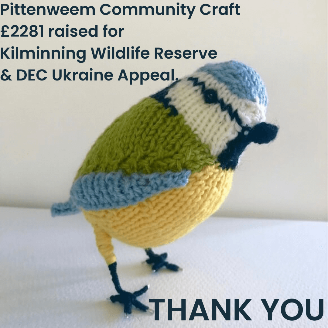 Feathered Friends Update